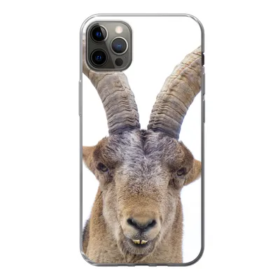 Produktbild von MuchoWow® Handyhülle Schutzhülle Hülle für iPhone 12 Pro Max Steinbock - Tiere - Hoorn Silikon Softcase Handy Hülle - Hartschale