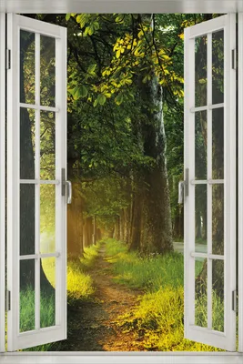Produktbild von Wallario Wandbild aus Acryl, 60 x 90 cm, freischwebende Optik - Allee bei Sonnenuntergang mit Fenster-Illusion