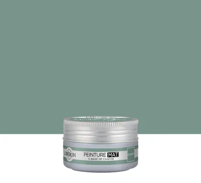 Image de Peinture meuble et boiserie Caséine LIBÉRON eucalyptus mat 75ml