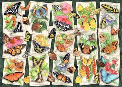 Produktbild von RAVENSBURGER Puzzlespiel Tropical Motli 1000 Stü ck