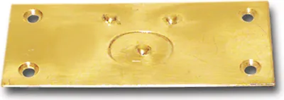 Produktbild von Riegelschließblech mit gefedertem Verschluss, 78 x 34 mm, Messing blank | Schliessblech