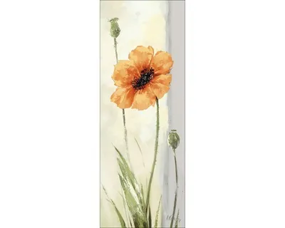 Produktbild von Leinwandbild New Poppy Variation I 27x77 cm