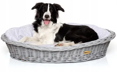 Produktbild von Handbemalter grauer Weidenkorb Wikikorb mit Baumwoll-Hundebett – Grau mit weißen Punkten Polka Dots – Waschbar & Weich – DOTTY
