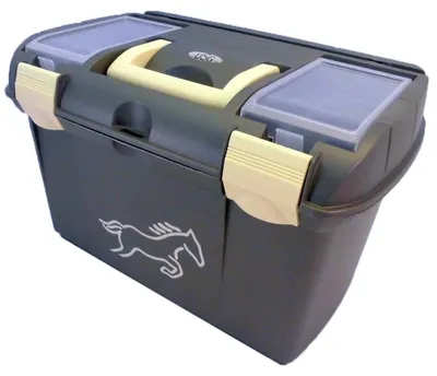 Immagine prodotto di Scatola per la pulizia nero metallizzato/beige |