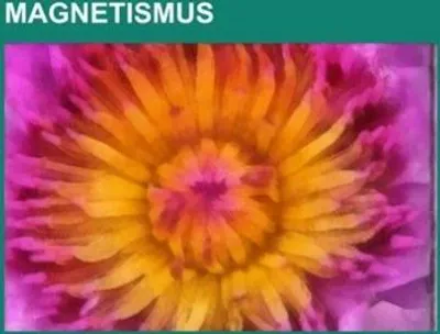 Obrázok produktu pre Magnetismus