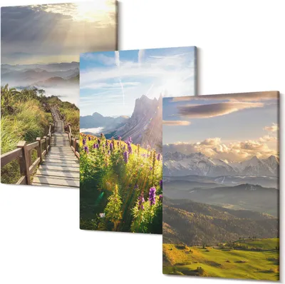 Produktbild von Leinwandbilder – Wandbilder – Leinwandbild – Canvas Bild – Polycanvas – Kunstdruck –  – Modern – Aufhängefertig – Mehrteilig – 3-Teilig – 40x60 Cm Pro Bild - Berglandschaften mit Blumen, Himmel und Pfad