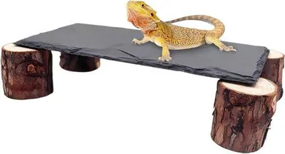 Produktbild von Reptilienhäuschen mit Holzstapeln und Grotten aus Leistenstein