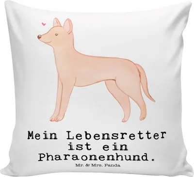 Produktbild von Mr. & Mrs. Panda Deko Kissen Pharaonenhund Lebensretter - Weiß - Geschenk, Kuschel, Kelb Tal-Fenek, Polster, 40x40, Dekokissen, bedruckt, Pharaoh Hound, kuschelkissen