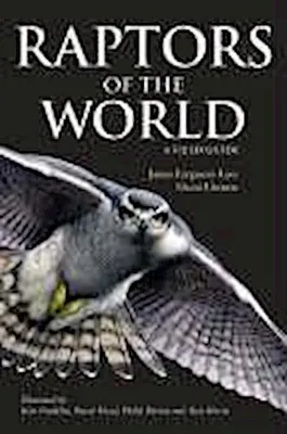Image de Raptors of the World: A Field Guide