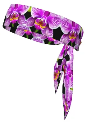 Image de Bandeau de sport - Réglable et confortable pour toutes les activités sportives
