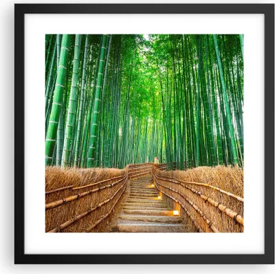 Produktbild von Gerahmtes Poster - Schwarzer Rahmen - Bambus Pflanze - 40x40 cm - Wand Bild - Wanddeko - Wandbilder - Kunstposter - Wandposter - Bilderrahmen - Bilder - Kunstdruck - Wandbild - P2BAC40x40-3979