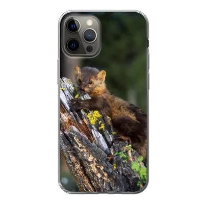 Produktbild von MuchoWow® Handyhülle Schutzhülle Hülle für iPhone 13 Pro Marder - Baum - Wald Silikon Softcase Handy Hülle - Handy-Tasche