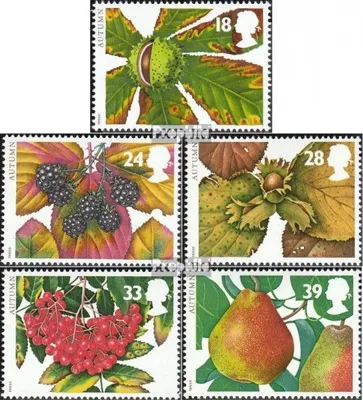 Produktbild von Briefmarken Großbritannien 1993 Mi 1463-1467 (kompl.Ausg.) postfrisch Die vier Jahreszeiten
