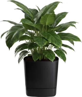 Produktbild von HowHomely | Pflanzgefäß - Blumentopf mit Untersetzer - schwarz - 34x34 cm - aus Recyclingmaterial - Übertopf - Pflanztopf