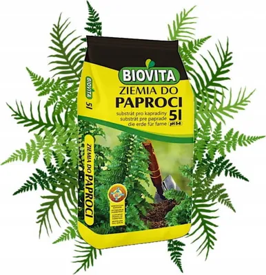 A bag of soil for ferns, surrounded by fern leaves.