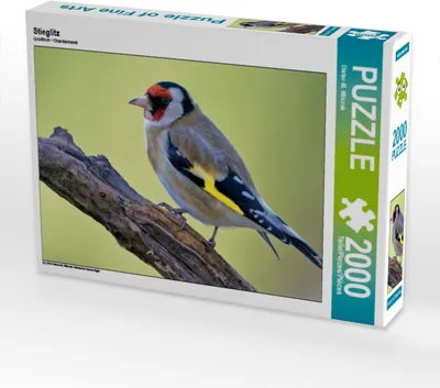Produktbild von CALVENDO Puzzle Stieglitz 2000 Teile Puzzle quer | 2000 Teile Lege-Größe 90x67cm Foto-Puzzle für glückliche Stunden
