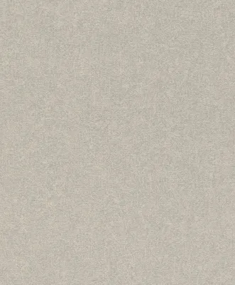 Produktbild von Rasch Composition | 554489 | Vliestapete Einfarbig | 0.53 m x 10.05 m | Grau