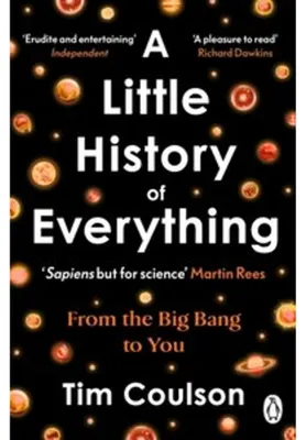 Productafbeelding van A Little History of Everything