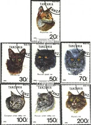 Produktbild von Briefmarken Tansania 1992 Mi 1405-1411 (kompl.Ausg.) gestempelt Katzen