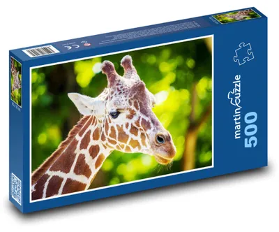 Produktbild von Puzzle 500 Giraffe in der Afrikanischen Wildnis - martinpuzzle