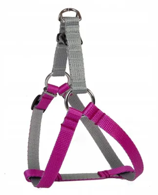 Immagine prodotto di Collare Dingo STEP-IN Energy Silver, colore rosa, regolabile