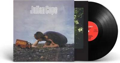 Produktbild von Julian Cope: Fried