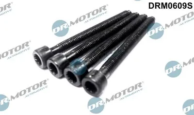 Obrázok produktu pre Sada Skrutiek Vstrekovacieho Čerpadla Vw (M6X64) 4Ks.