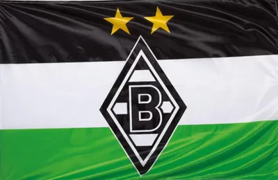 Produktbild von Borussia Mönchengladbach Hissfahne 250 x 150 cm