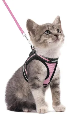 Produktbild von Katzengeschirr mit Leine Set Rosa Größe S Ausbruchsicher Verstellbar Reflektierend