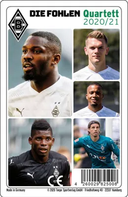 Produktbild von Borussia Mönchengladbach Quartett (Saison 2020/21)