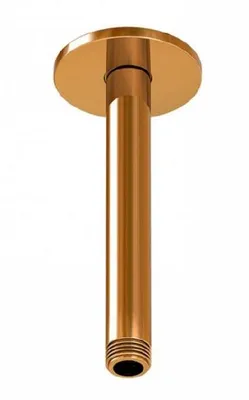 Produktbild von Steinberg Serie 100 Brausearm, 120 mm, rund, für Deckenmontage, 1001571RG