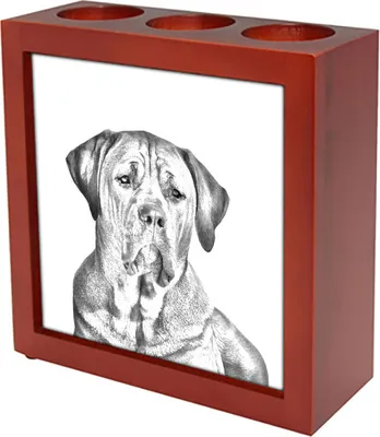 Produktbild von Tosa Inu, Tosa-Hund - Stifthalter mit Hund, Schreibtischorganizer mit Aufdruck, personalisierte Schreibtischdekoration der Marke Art-Dog