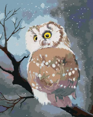 Produktbild von Zuty - Malen nach Zahlen - WINTEREULE, 40x50 cm, mit Keilrahmen (bereits gespannt)