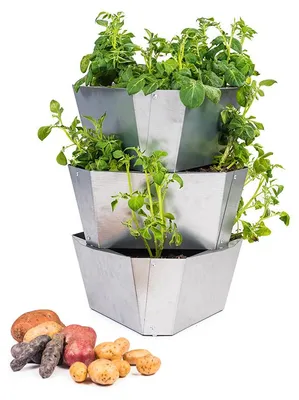 Produktbild von PAUL POTATO Kartoffelturm Starter Stahl Set (3 Etagen) | Kartoffeltürme von Gusta Garden