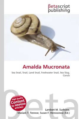 Produktbild von Amalda Mucronata