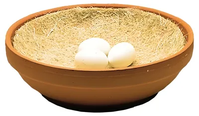 Produktbild von Nobby Natural Nesteinlagen für Tauben