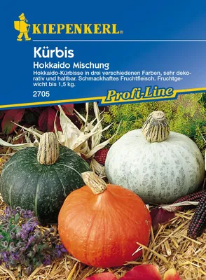 Produktbild von [STREICHUNG 2024] Kürbis Hokkaido Mischung | Hokkaidokürbissamen von Kiepenkerl