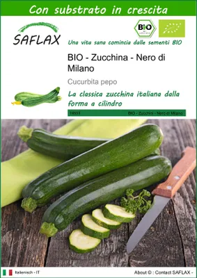 Immagine prodotto di SAFLAX  -- Zucchina - Nero di Milano - 6 semi - Con substrato - Cucurbita