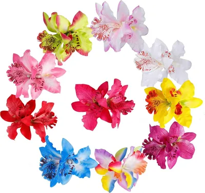 Produktbild von Blumenclip Dendrobium Orchidee Haarclip für Hochzeit Strandfest - Festdekoration Haarspange für Frauen und Mädchen - 10 Stück, mehrfarbig