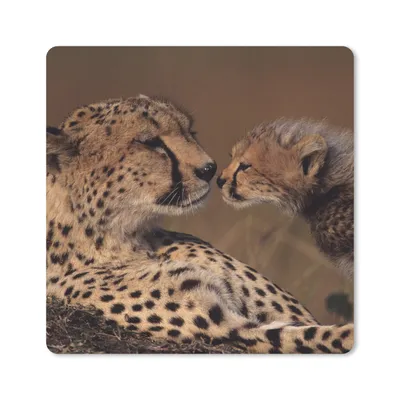 Produktbild von MuchoWow® Mauspad Mousepad Gepardenmutter und Jungtier 20x20 cm - Mousepads - Maus Mat - Pad - Mausunterlage - Desk Mat - Bureauartikeln