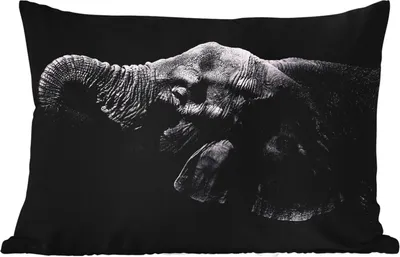 Produktbild von MuchoWow® Outdoor Kissen - Elefant - Tiere - Schwarz - Natur - 50x30 cm - Wetterfest - Lounge Kissen - Sofa kissen - Wohnzimmer Dekoration