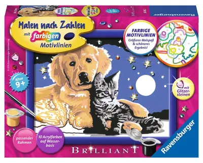 Obrázok produktu pre Ravensburger 4049817654927, 9 rok / roky, Chlapec / dievča, Multi, 1 kusov, 220 mm, 160 mm