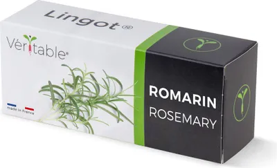 Immagine prodotto di Rosmarino Véritable Lingot - Terriccio pre-impiantato