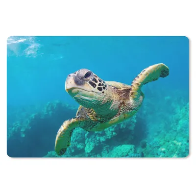 Produktbild von MuchoWow® Mauspad Mousepad Meeresschildkrötenschwimmen auf Hawaii 27x18 cm - Mousepads - Maus Mat - Pad - Mausunterlage - Büroartikel - Desk Matten