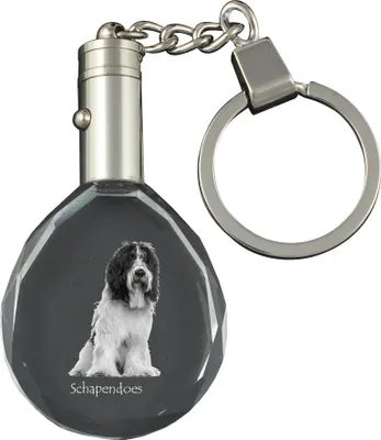 Produktbild von Schapendoes, Niederländischer Schapendoes - Anhänger mit einem Foto eines Hundes, Schlüsselanhänger aus Kristall in einer Geschenkbox, ein einzigartiges Geschenk von Art-Dog