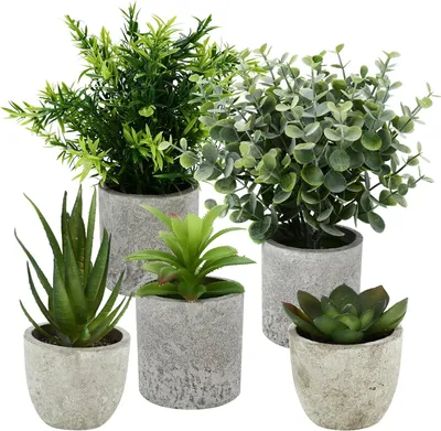 Produktbild von 5 Stück Kunstpflanze, Mini Künstliche Pflanzen mit Töpfen, Schlangenzunge, Agave Sukkulente, Eagle Claw Aloe, Künstliche Pflanzen für Heim-Deko
