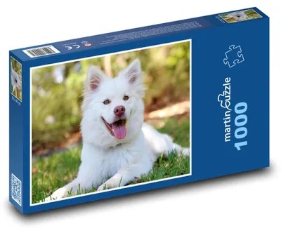 Zdjęcie produktu dla Puzzle 1000 Zadowolony psin przyjaciel - martinpuzzle