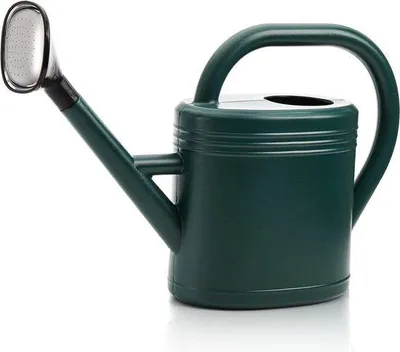 Image de Arrosoir en plastique pour plantes d'extérieur et d'intérieur, 1 litre, vert, avec pommeau amovible, pour les plantes, le jardin, les fleurs et le bureau.