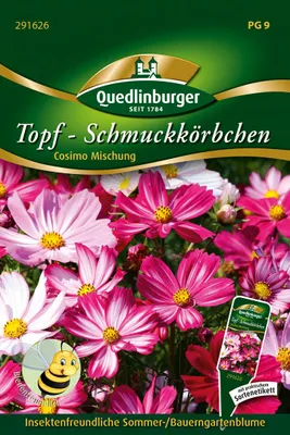 Produktbild von Topf-Schmuckkörbchen Cosmio | Cosmeasamen von Quedlinburger