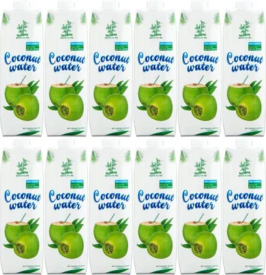 Produktbild von 12er-Pack BAMBOO TREE Kokoswasser 1 Liter, Kokosnusswasser, 100% Natural, Coconut Water